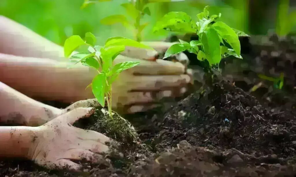 पर्यावरण, निवेश और विकास का संतुलन