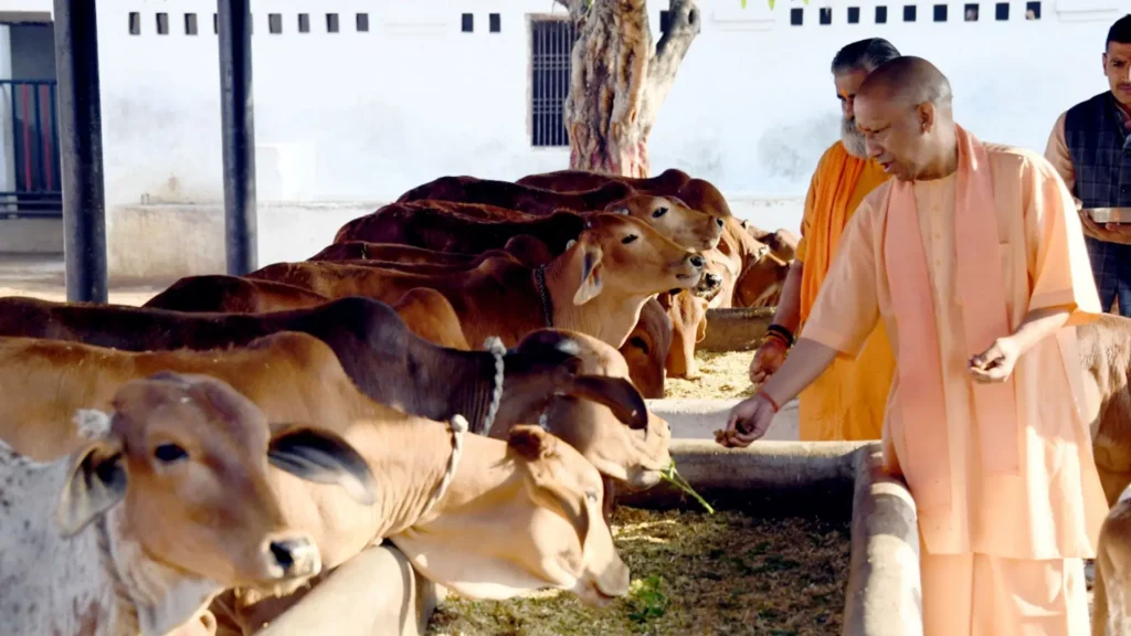 "गौ संरक्षण को बढ़ावा: यूपी गौ आयोग और पतंजलि मिलकर सभी जिलों में बनाएंगे मॉडल केंद्र"