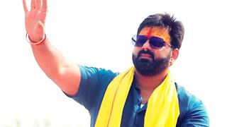 पवन सिंह का राजनीतिक समर्थन