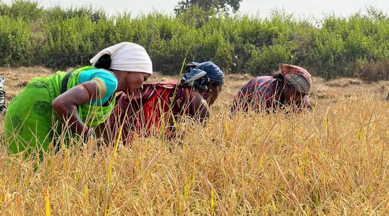 ग्रामीण अर्थव्यवस्था को मजबूती